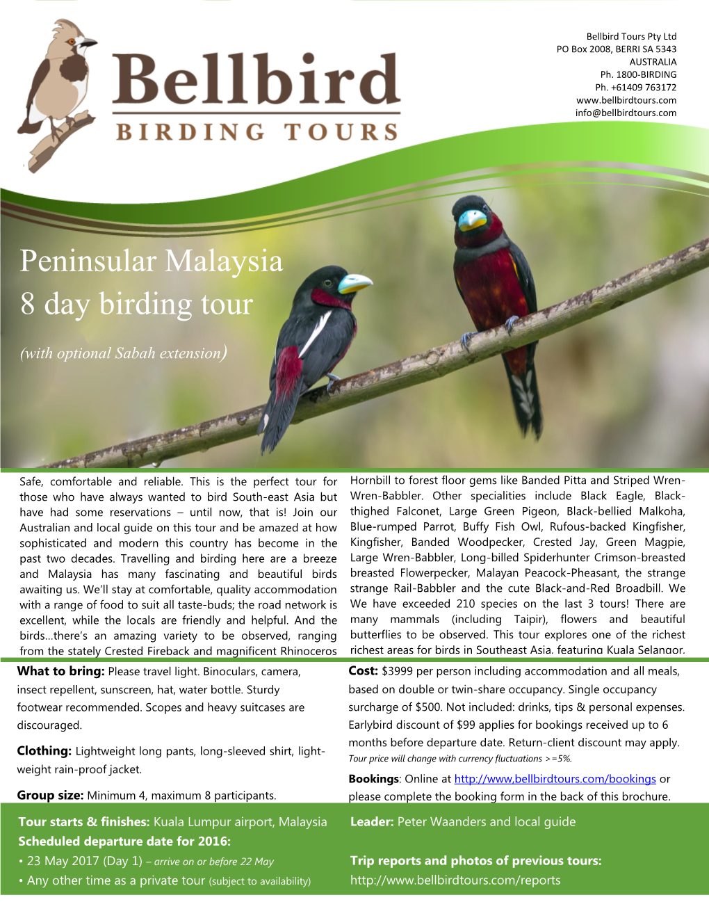 Peninsular Malaysia 8 Day Birding Tour