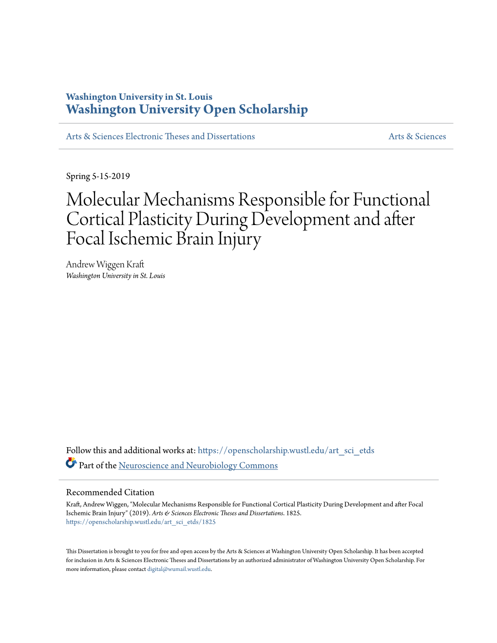 Molecular Mechanisms Responsible for Functional Cortical Plasticity