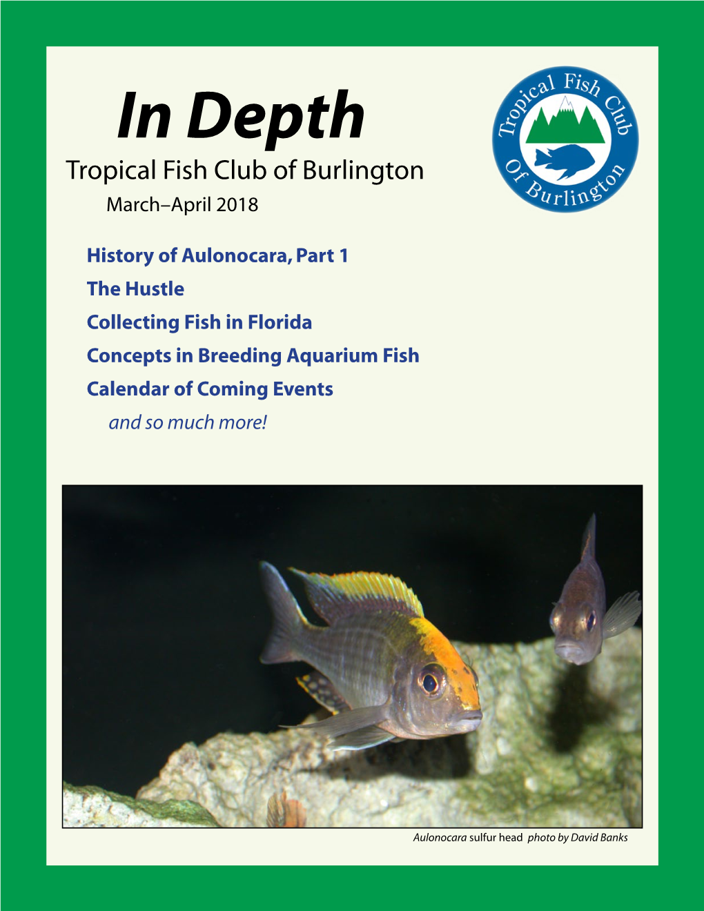 In Depth Tropical Fish Club of Burlington March–April 2018