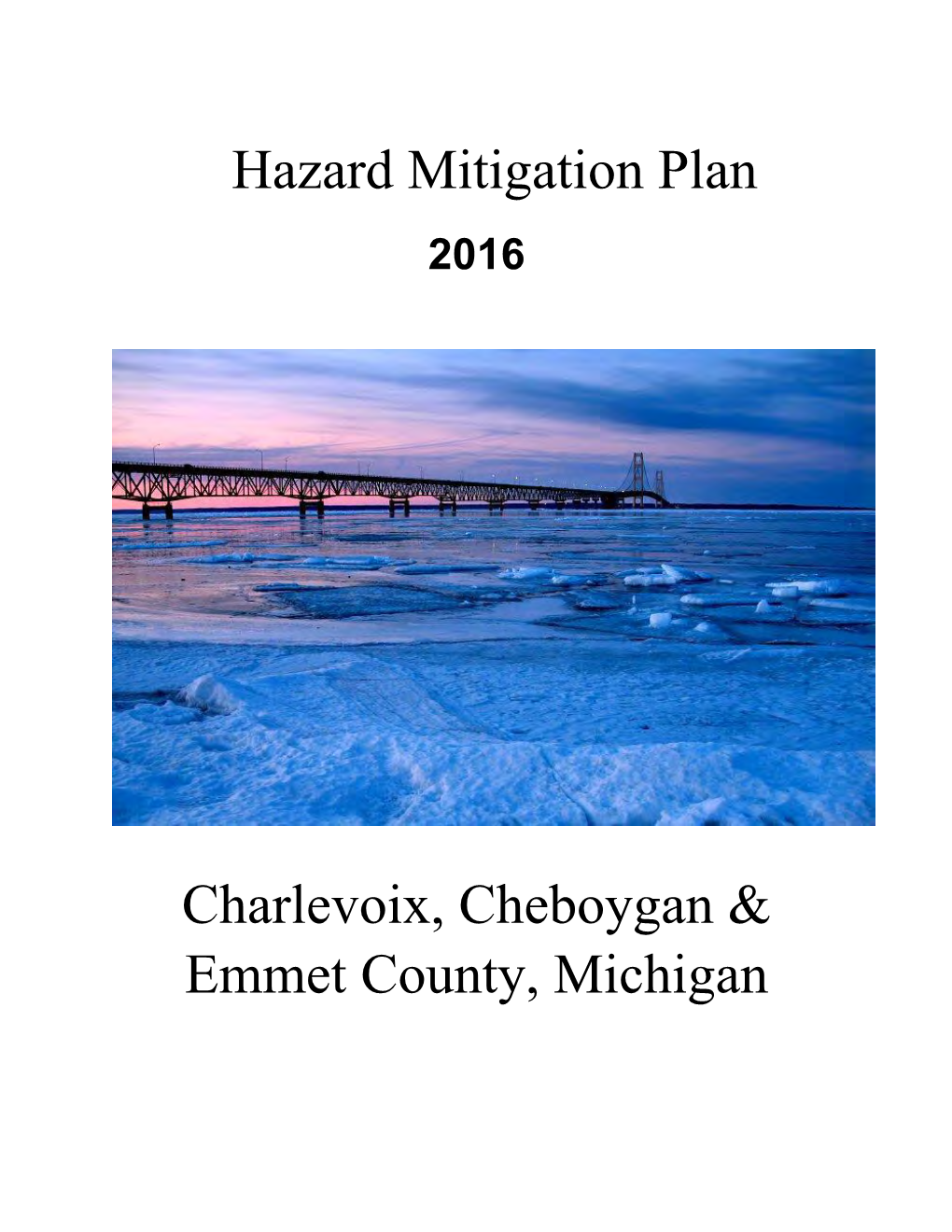 Hazard Mitigation Plan EMMET