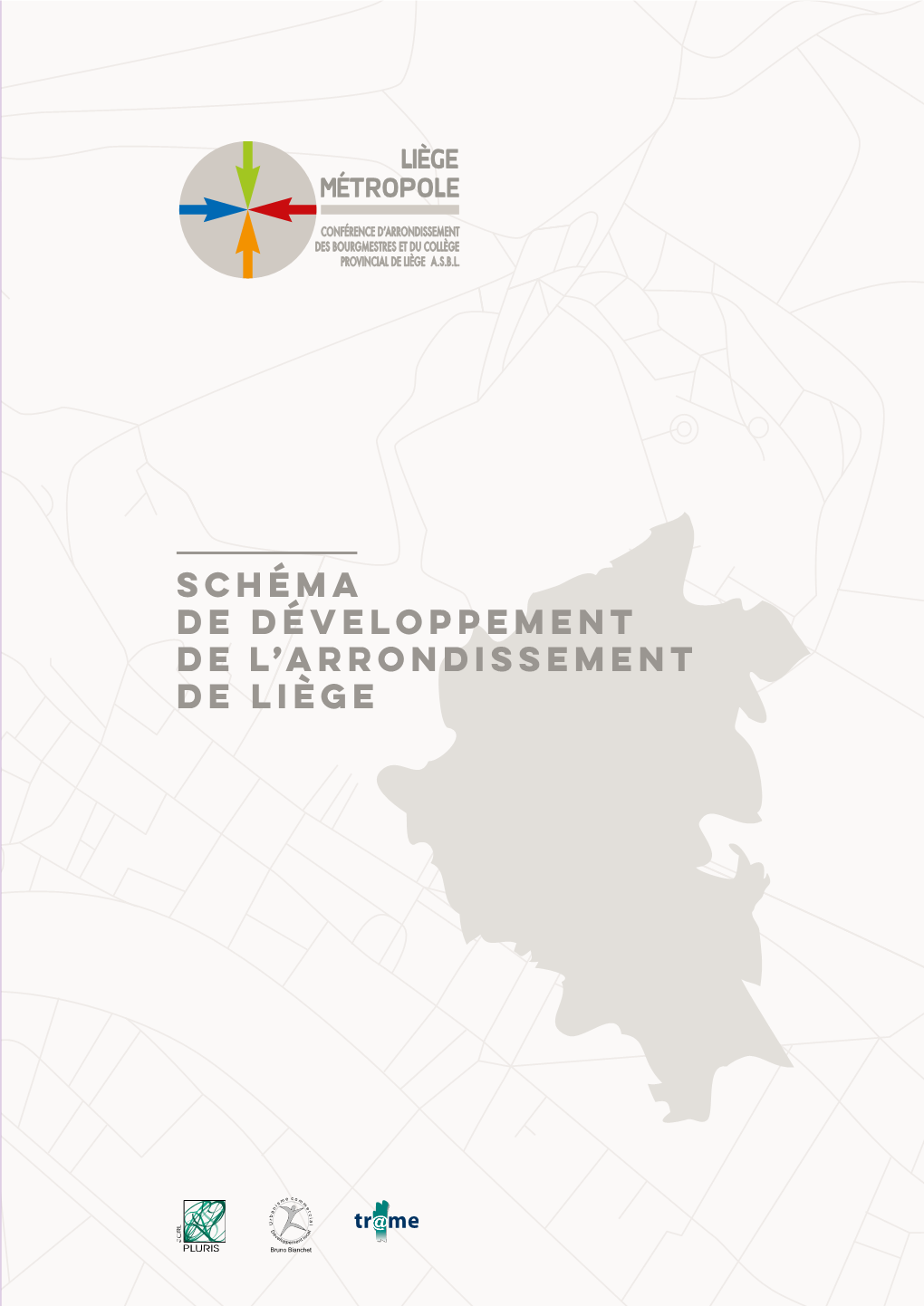 Schéma De Développement De L'arrondissement De Liège