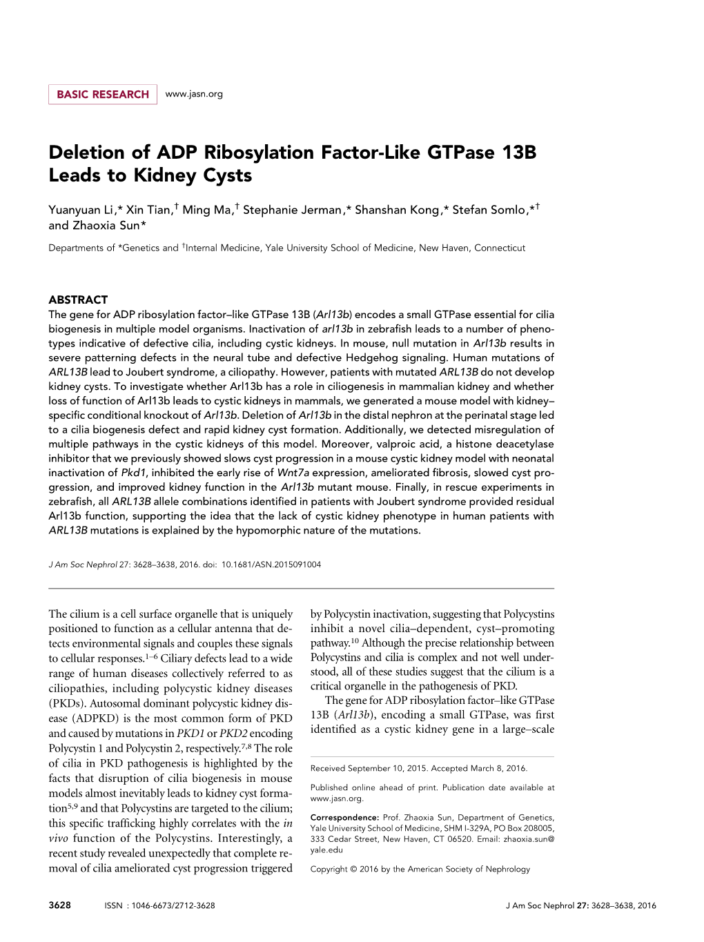 Deletion of ADP Ribosylation Factor-Like Gtpase 13B Leads to Kidney Cysts