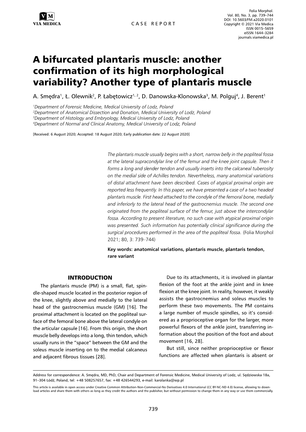 A Bifurcated Plantaris Muscle: Another Confirmation of Its High Morphological Variability? Another Type of Plantaris Muscle A