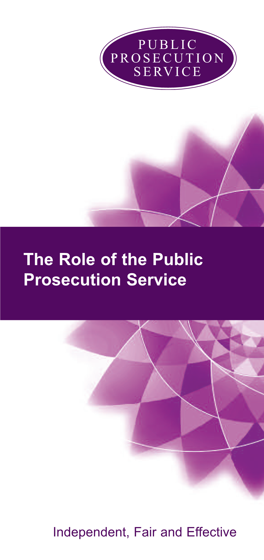 The Role of the Public Prosecution Service