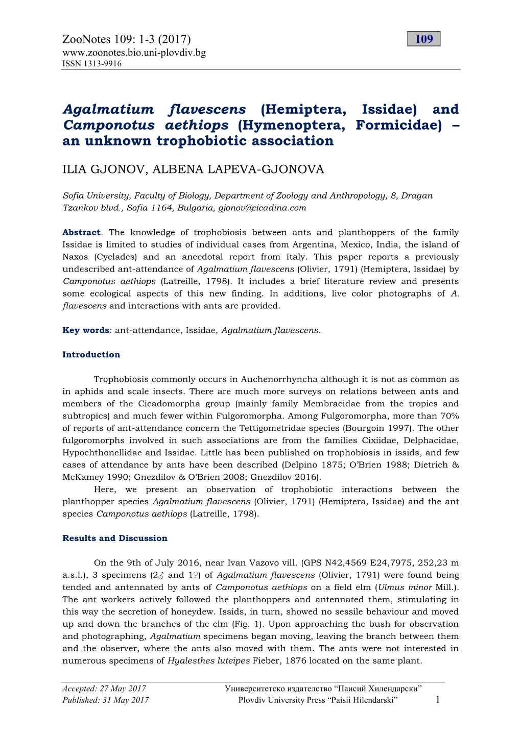 Agalmatium Flavescens (Hemiptera, Issidae) and Camponotus Aethiops (Hymenoptera, Formicidae) – an Unknown Trophobiotic Association