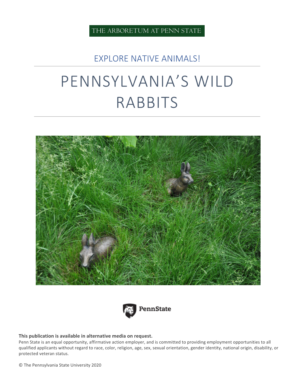 Pennsylvania's Wild Rabbits
