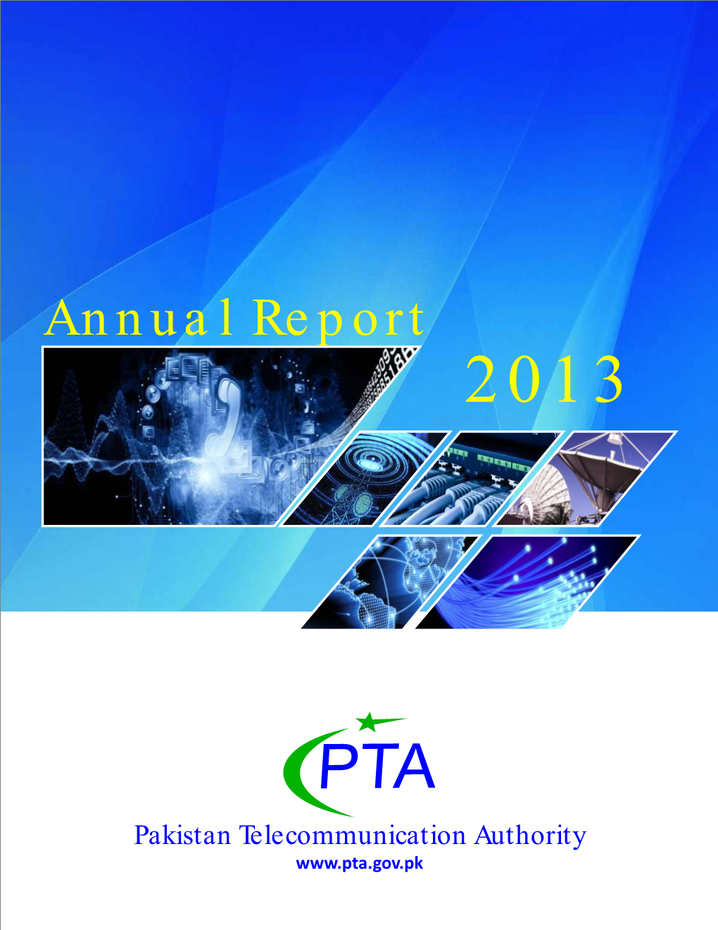 Final Annual Report 2013