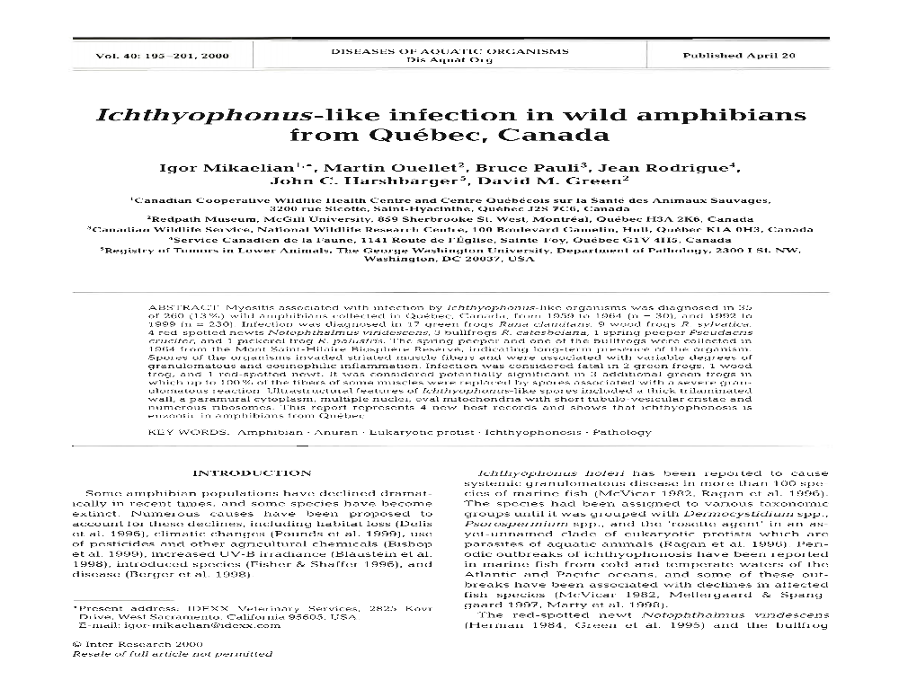 Ichthyophonus-Like Infection in Wild Amphibians from Quebec, Canada