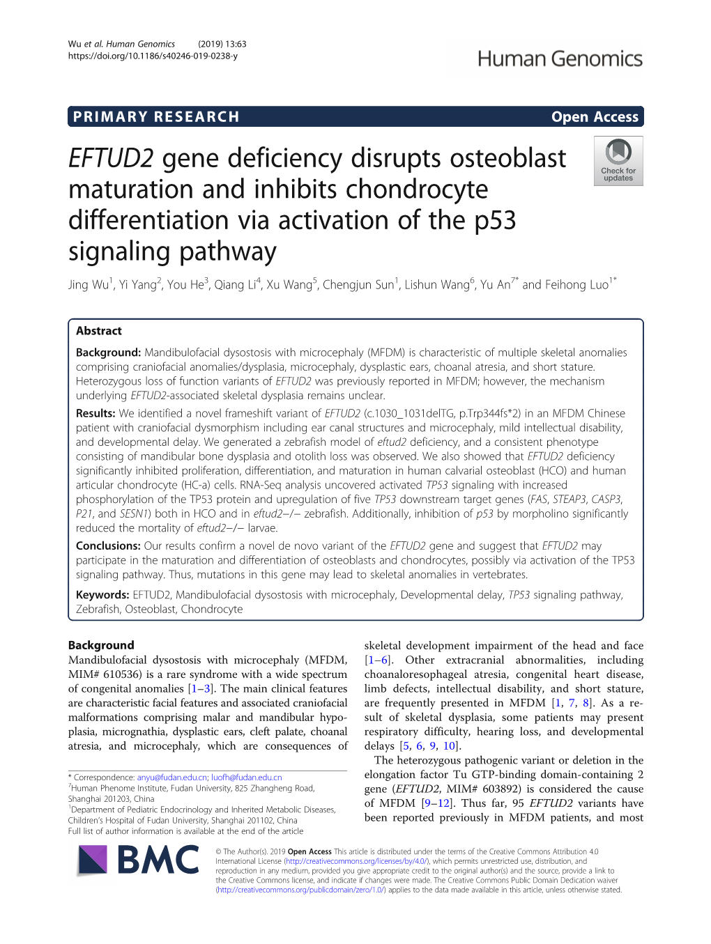 EFTUD2 Gene Deficiency Disrupts Osteoblast Maturation and Inhibits