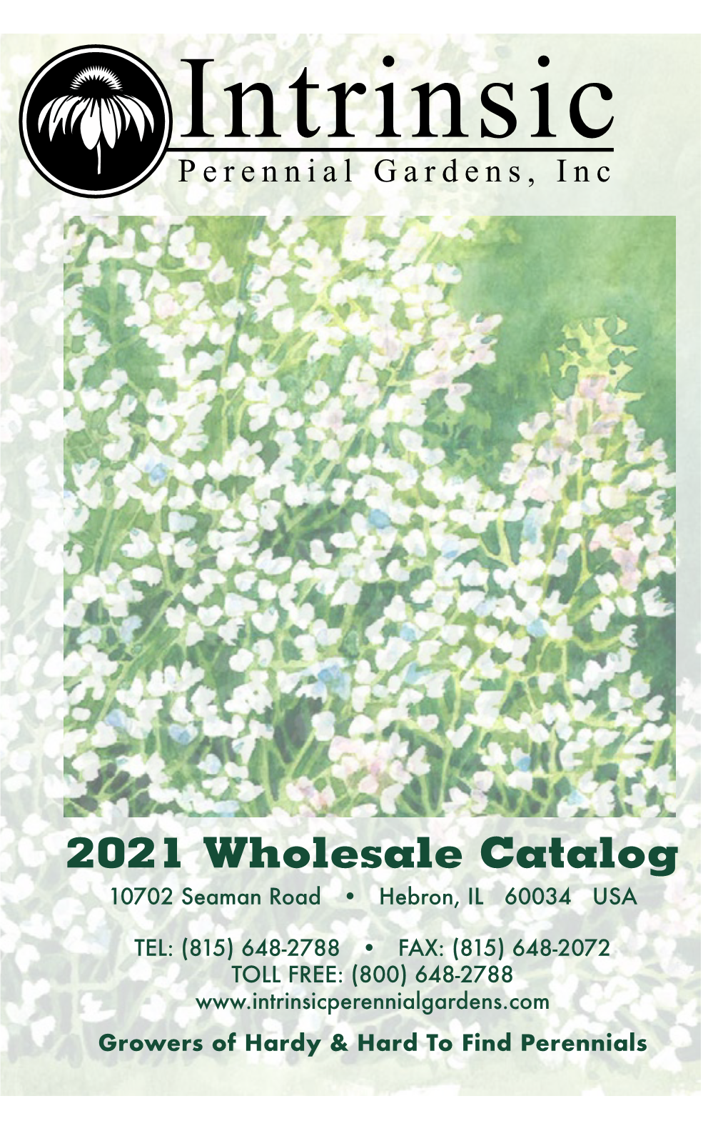 2021 IPG Catalog