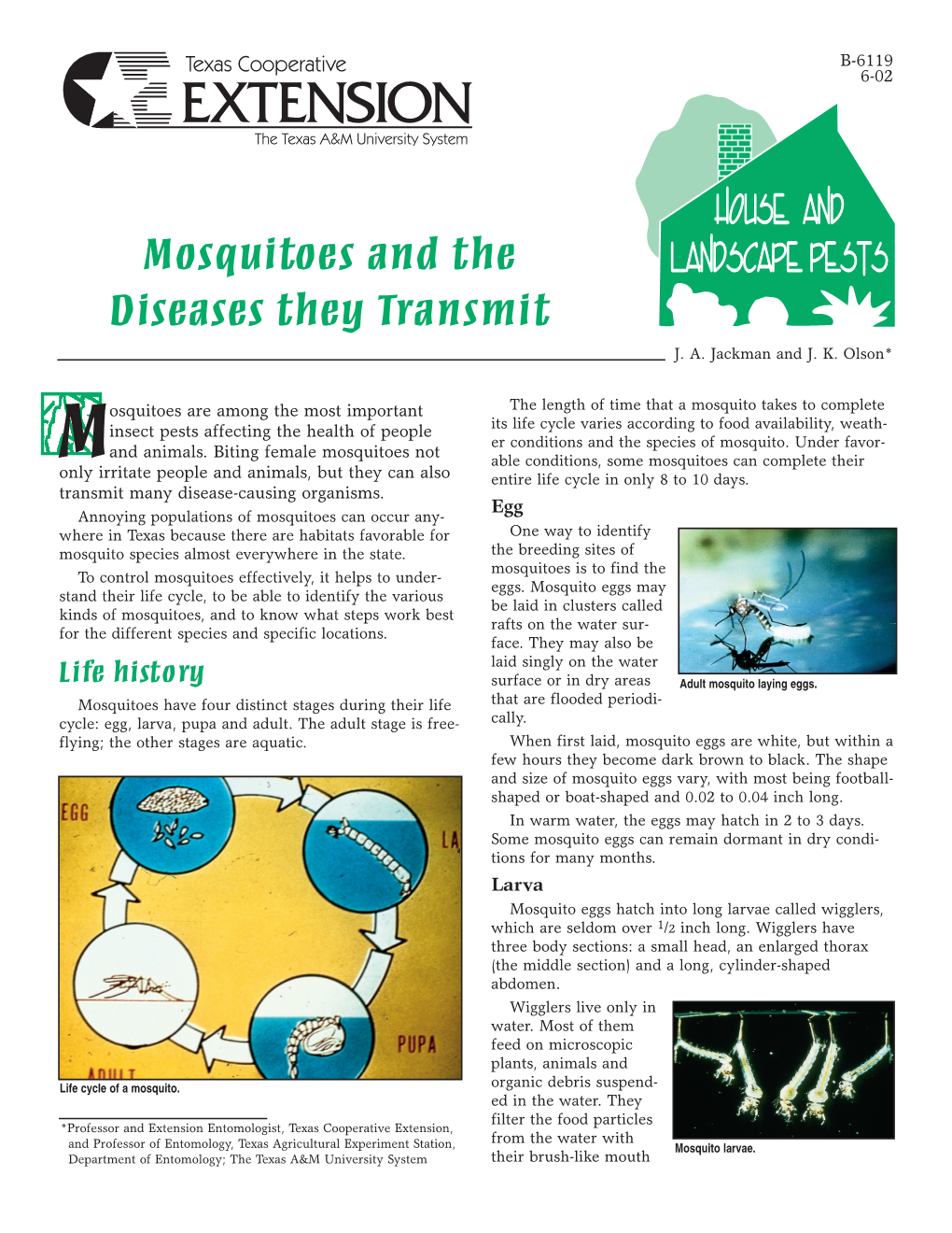 Mosquitos and the Diseases They Transmit