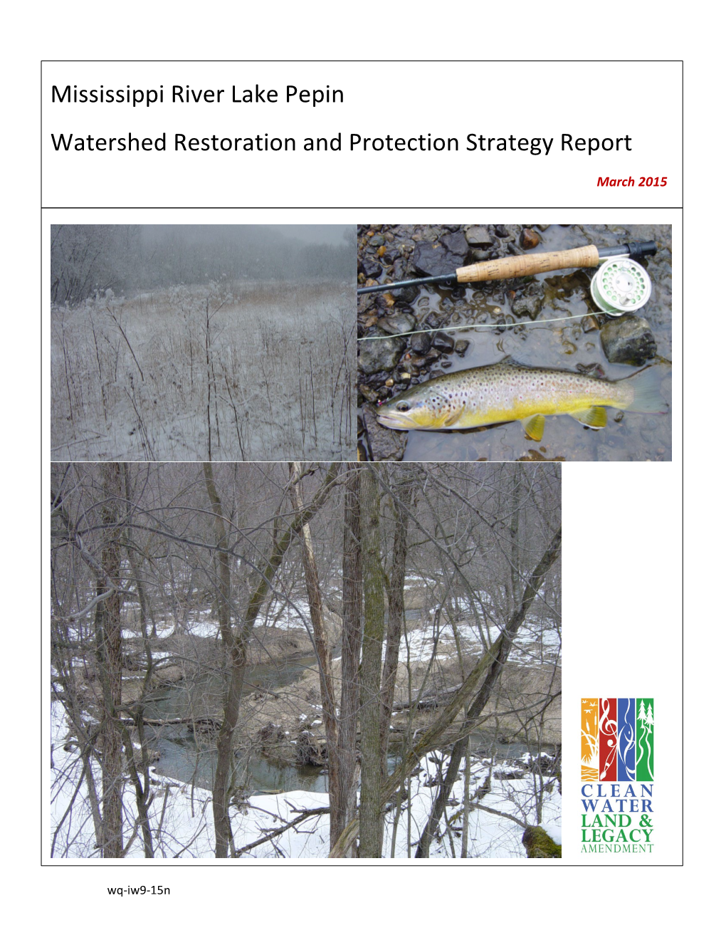 Mississippi River Lake Pepin Watershed Restoration and Protection Strategy Report