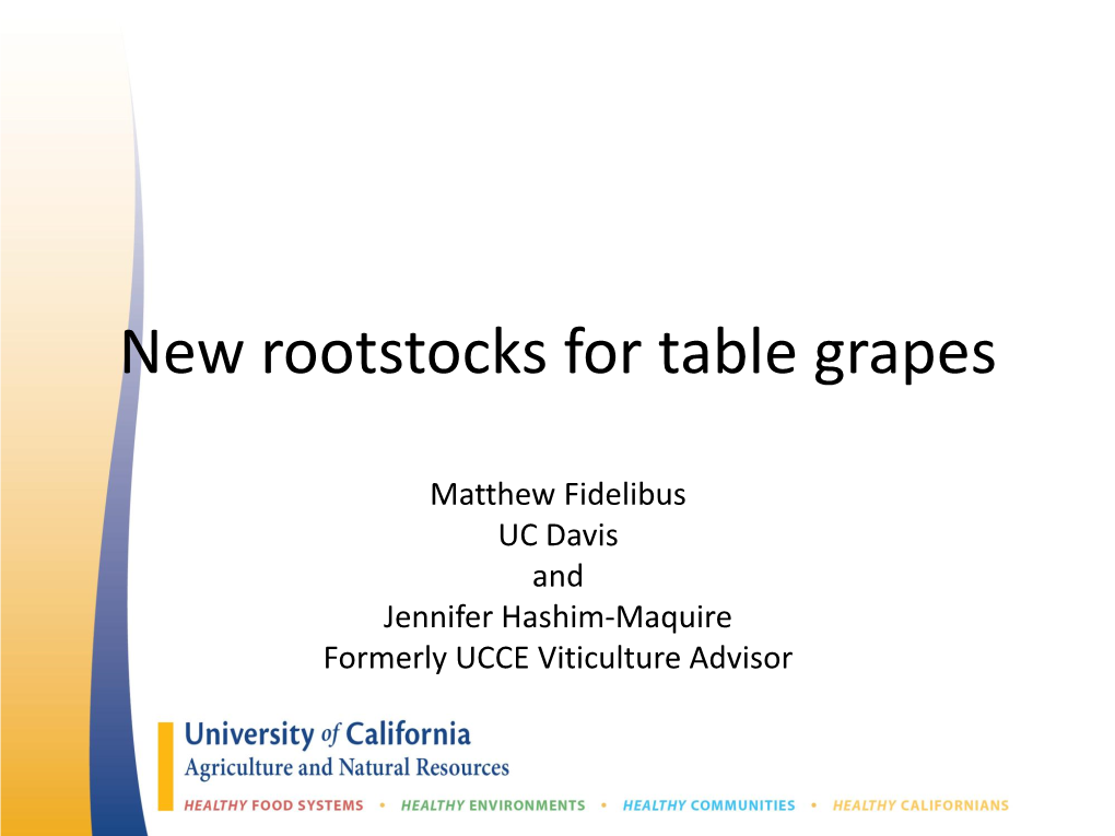New Rootstocks for Table Grapes