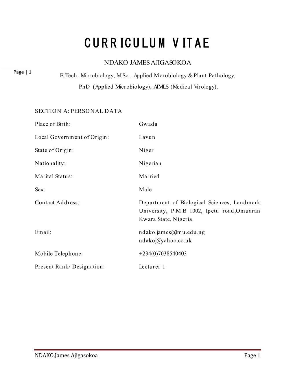 Curriculum Vitae