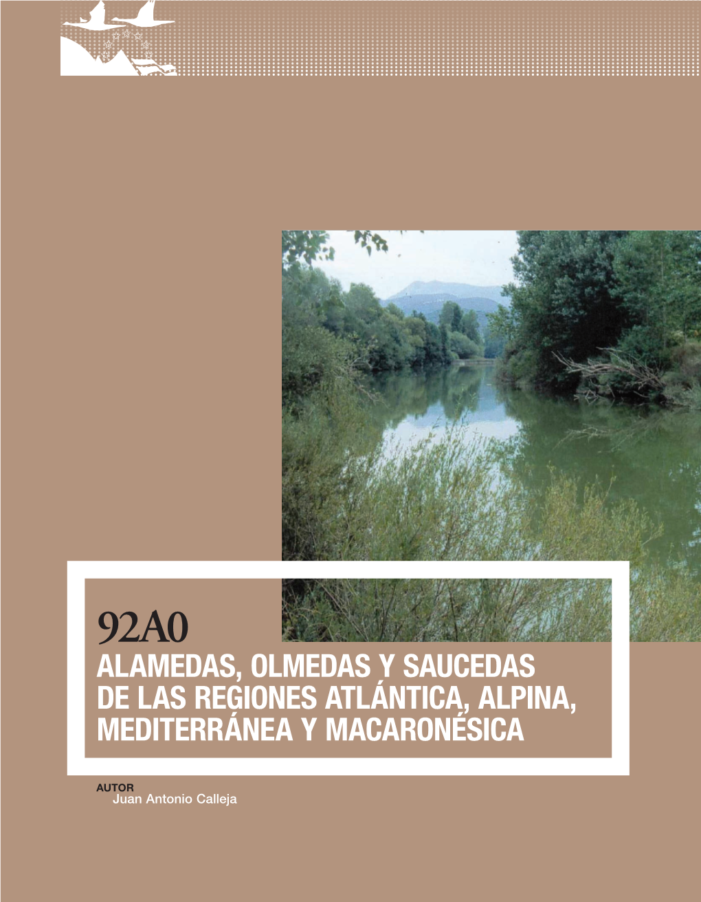 92A0 Alamedas, Olmedas Y Saucedas De Las Regiones Atlántica, Alpina, Mediterránea Y Macaronésica