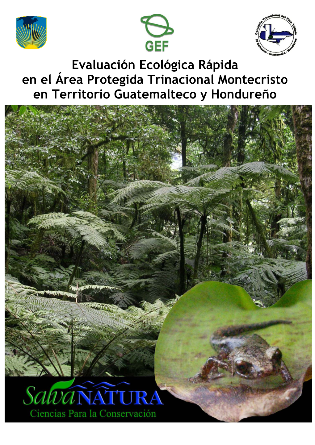 Evaluación Ecológica Rápida En El Área Protegida Trinacional Montecristo En Territorio Guatemalteco Y Hondureño