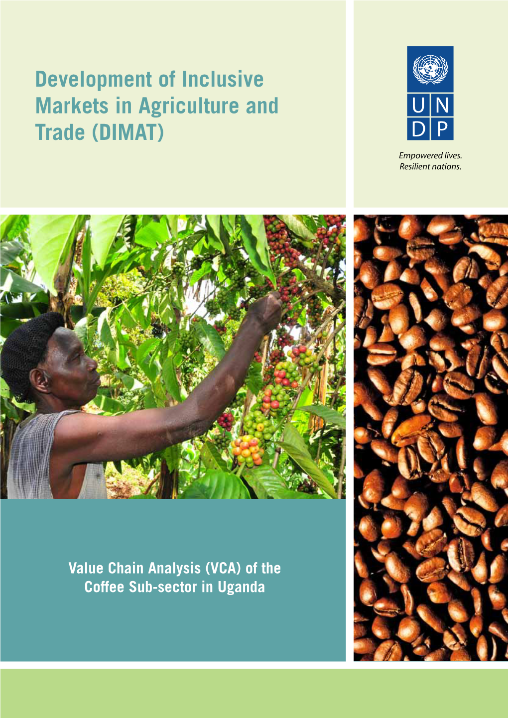 Development of Inclusive Markets in Agriculture and Trade (DIMAT)