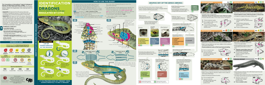 IDENTIFICATION GUIDE for DRAGONS for GUIDE IDENTIFICATION 3 4 3) Three Occipital Scales