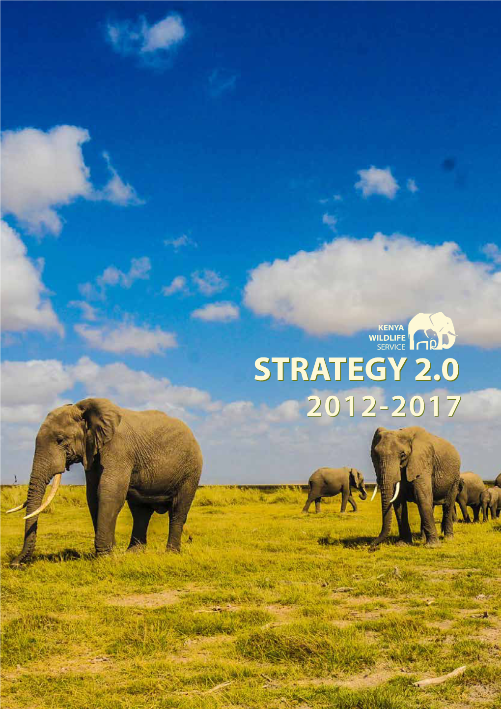 Strategy 2.0 CONTENTS