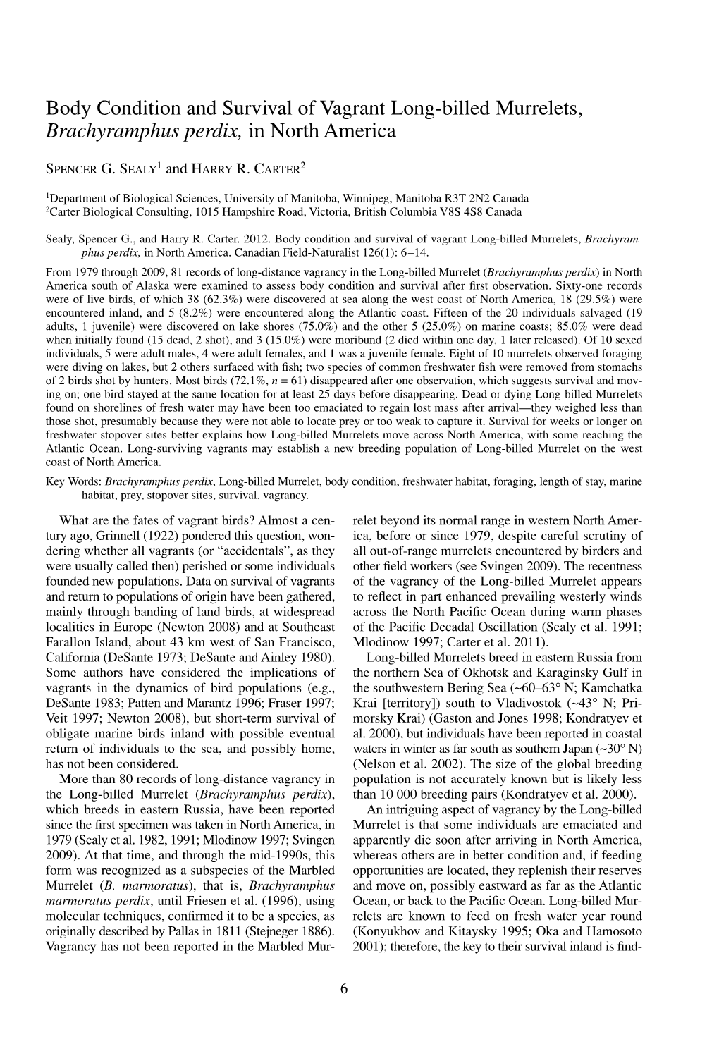 Body Condition and Survival of Vagrant Long-Billed Murrelets, Brachyramphus Perdix, in North America