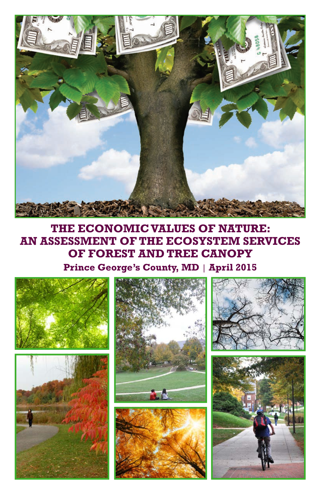 THE ECONOMIC VALUES of NATURE: an ASSESSMENT of the ECOSYSTEM SERVICES of FOREST and TREE CANOPY Prince George’S County, MD | April 2015 the ECONOMIC VALUES of NATURE