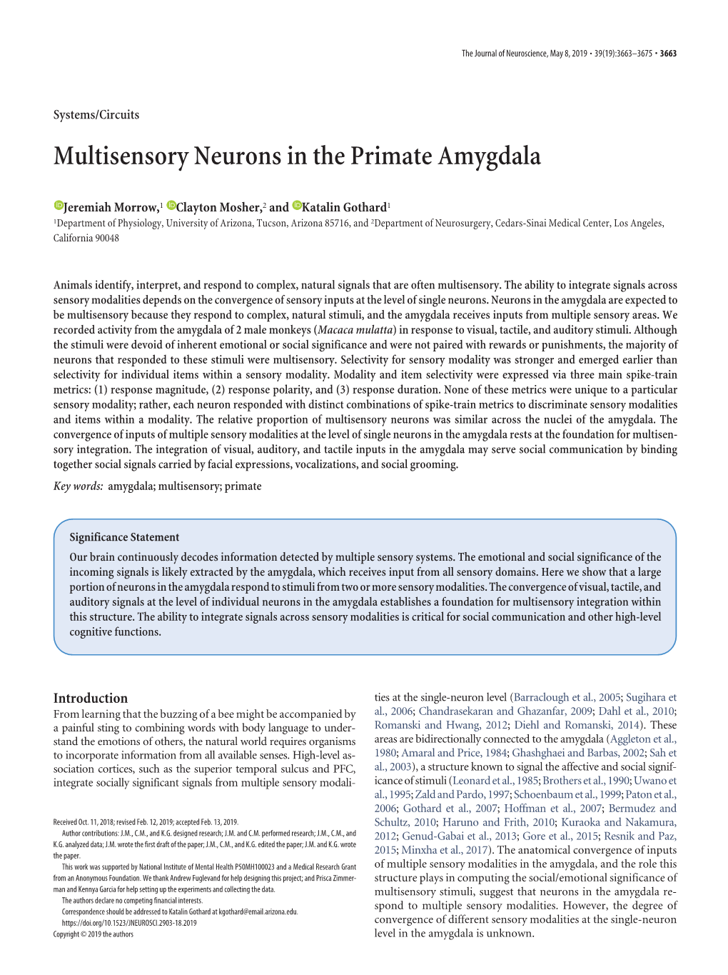 Multisensory Neurons in the Primate Amygdala