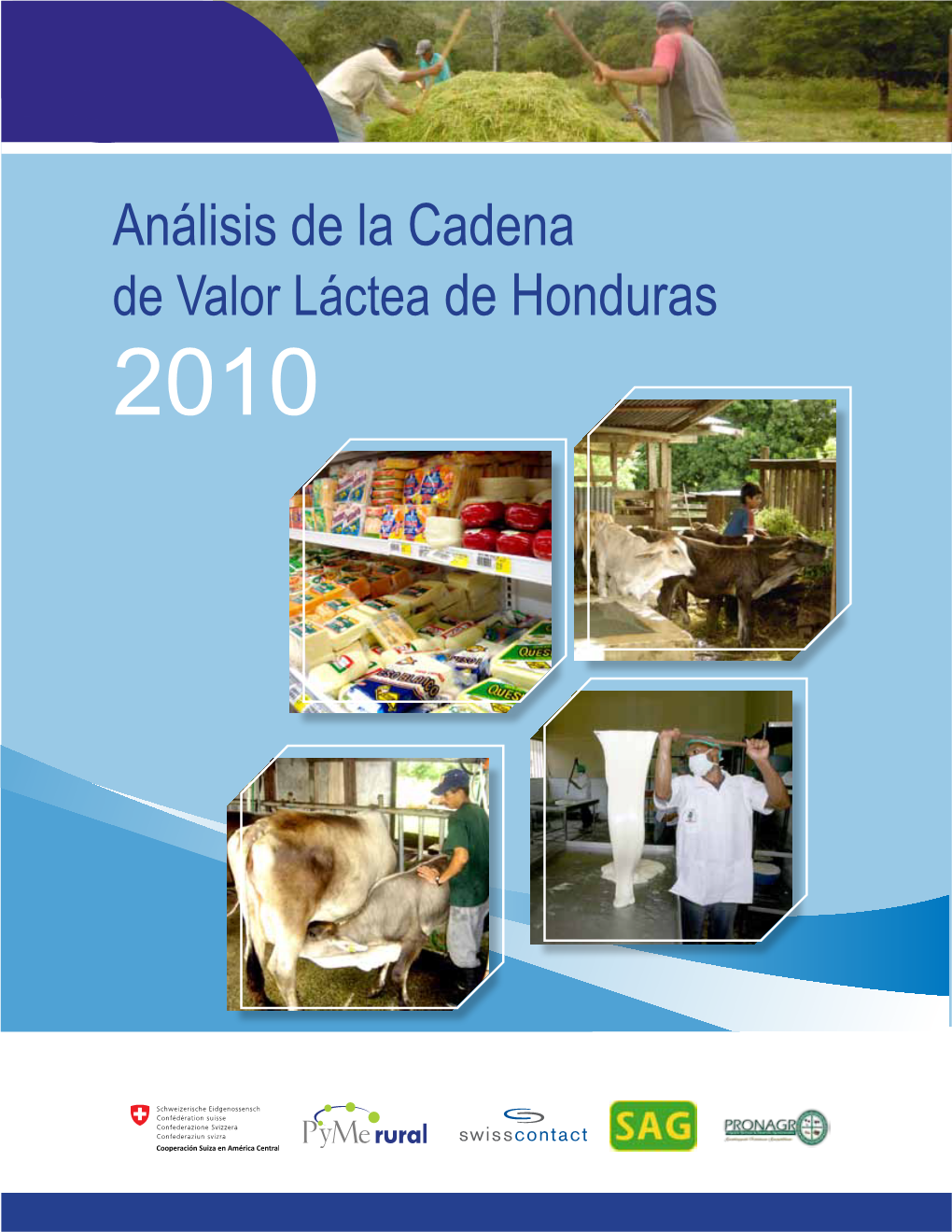 Análisis De La Cadena De Valor Láctea De Honduras 2010 2