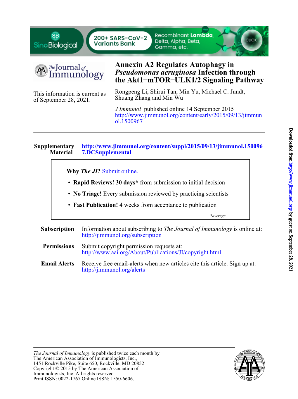 The Akt1 Infection Through Pseudomonas Aeruginosa Annexin A2