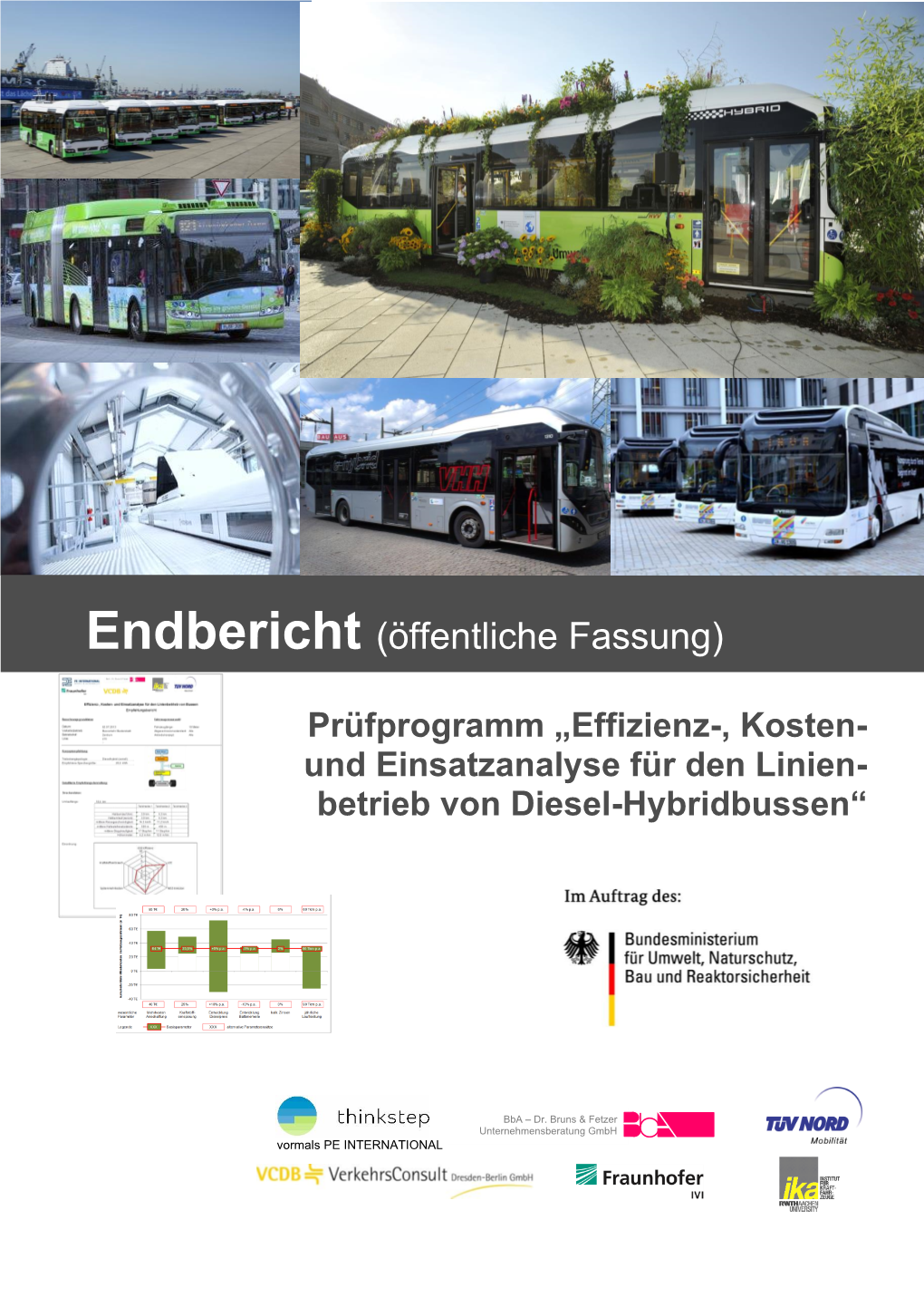 Abschlussbericht Zum Begleitprogramm Hybridbusse, Nov