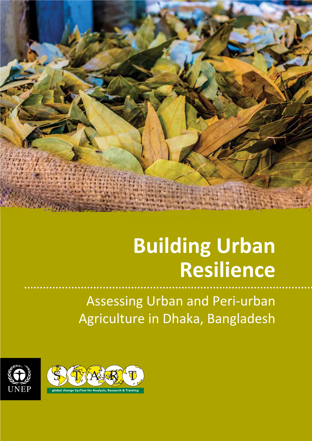 Building Urban Resilience