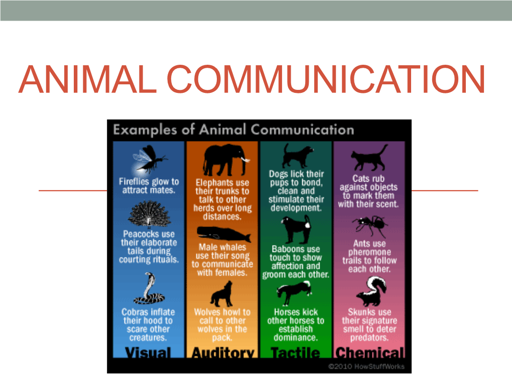 ANIMAL COMMUNICATION Communication