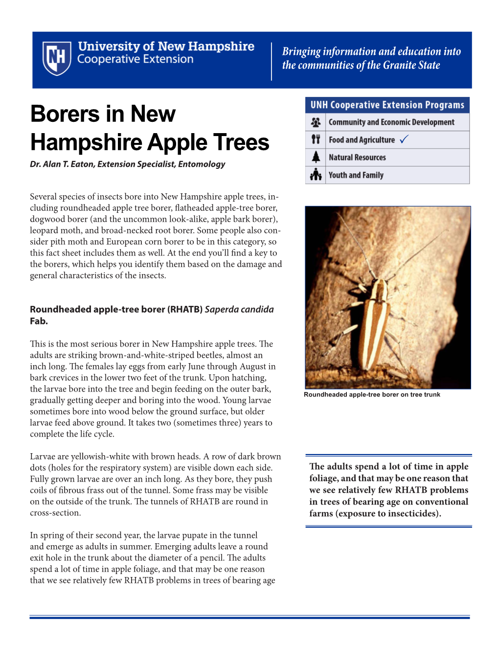 Borers in New Hampshire Apple Trees  Dr