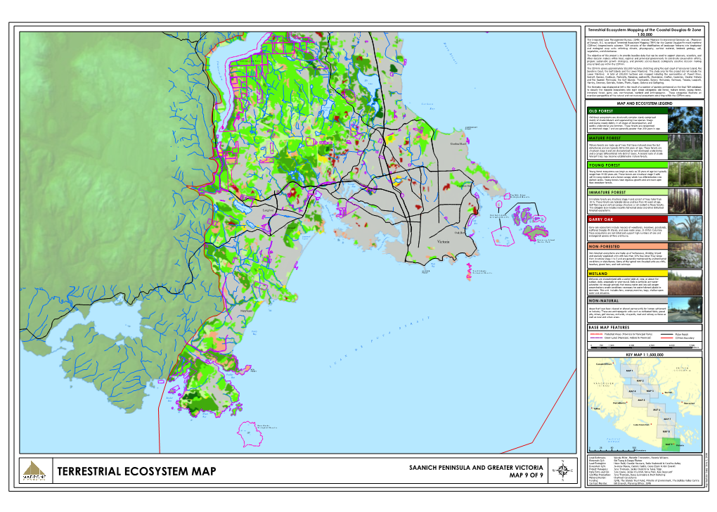 Terrestrial Ecosystem Mapping of the Coastal Douglas-Fir Zone