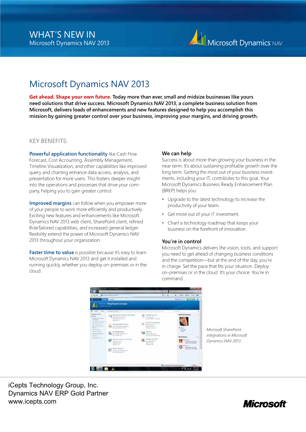 What's New in Microsoft Dynamics NAV 2013