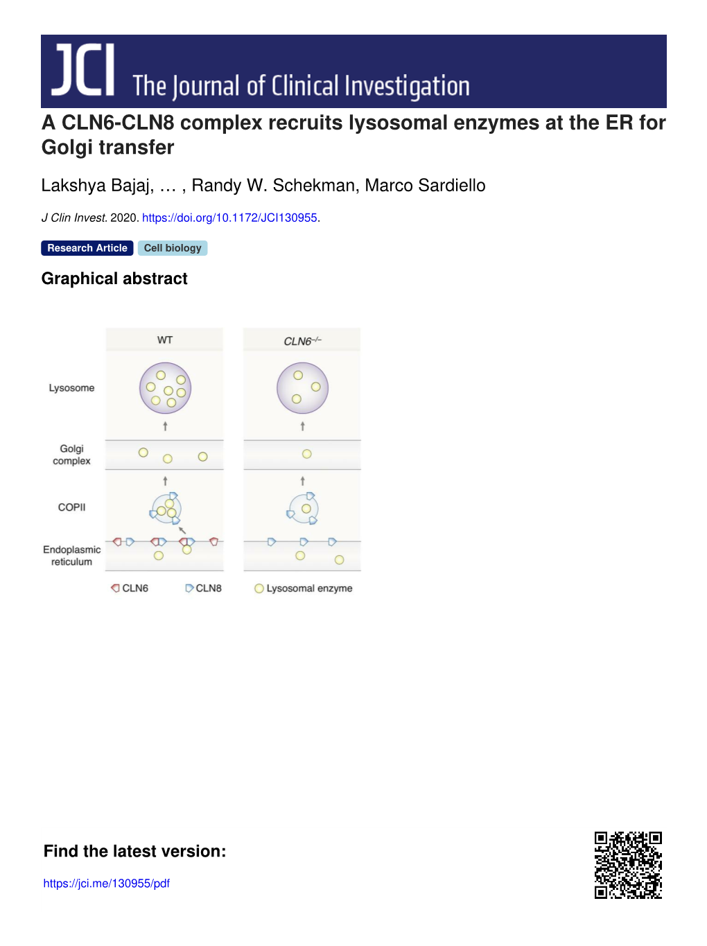 A CLN6-CLN8 Complex Recruits Lysosomal Enzymes at the ER for Golgi Transfer