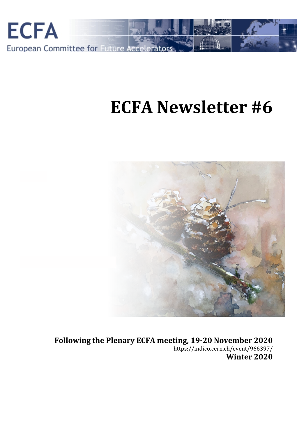 ECFA Newsletter #6