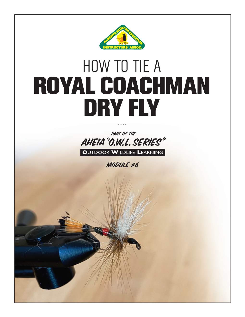 Royal Coachman Dry Fly