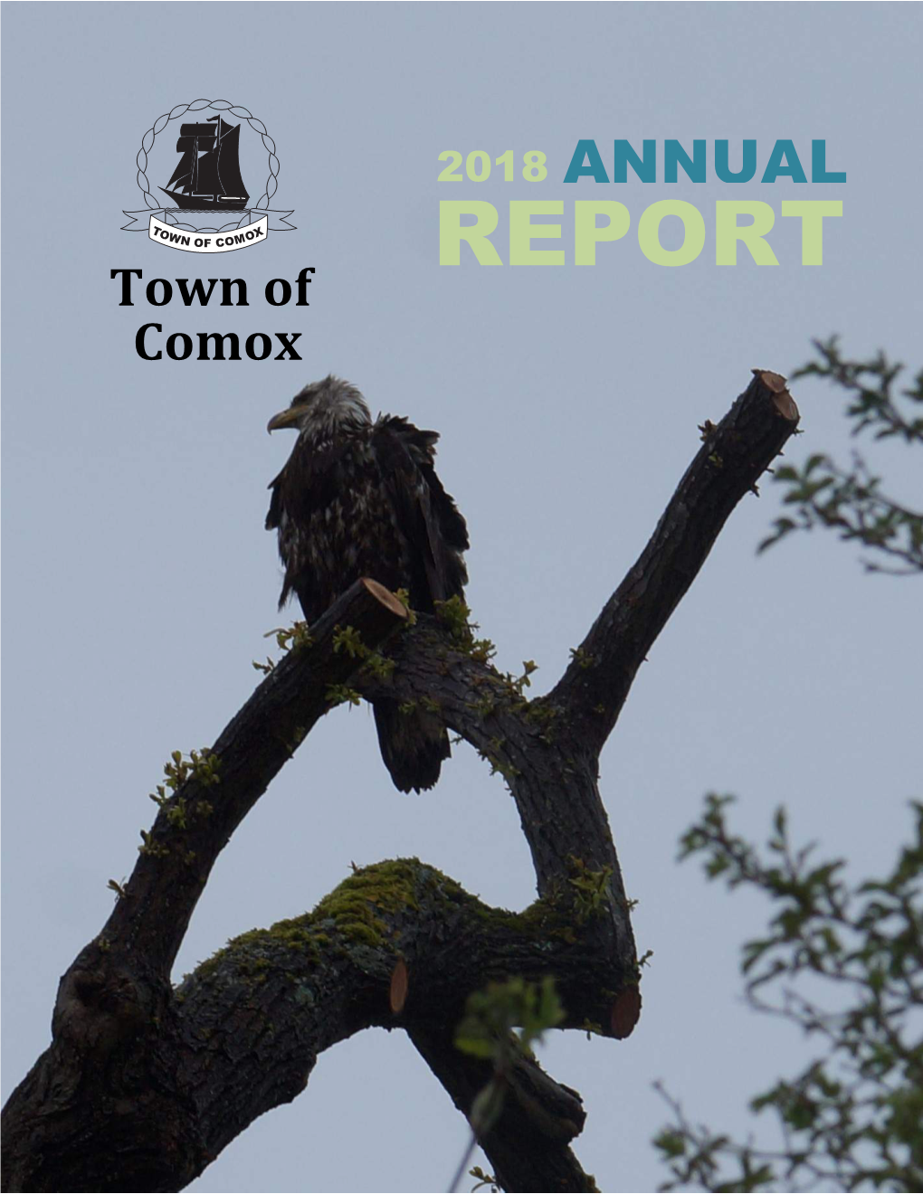 2018 ANNUAL REPORT Town of Comox