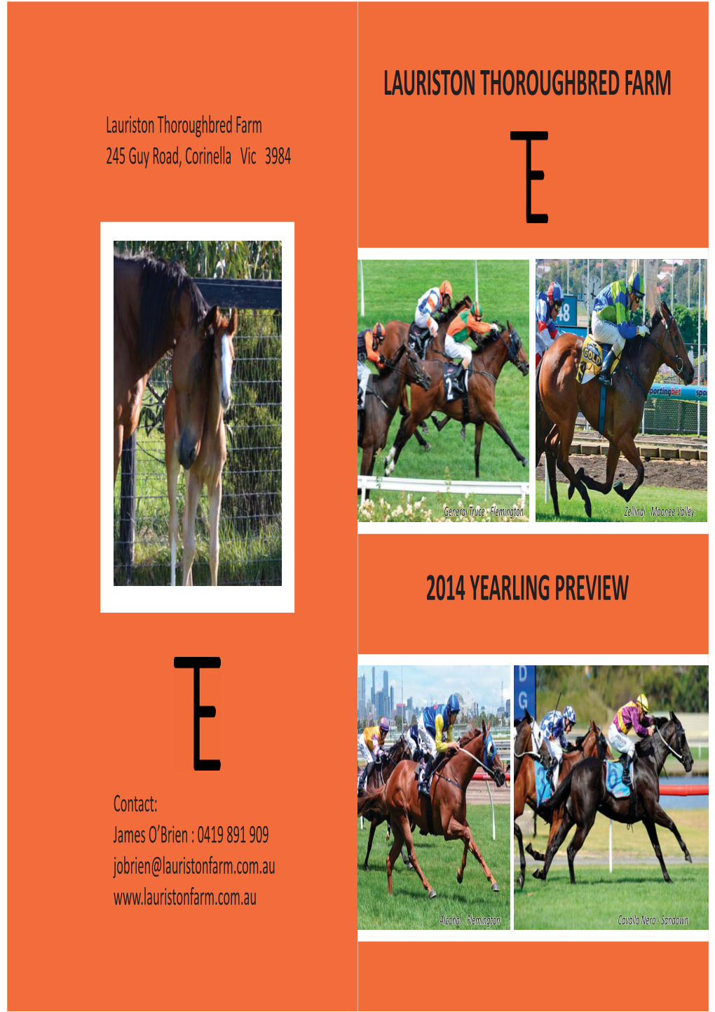 LTF 2014 Yearling Preview V9.Indd