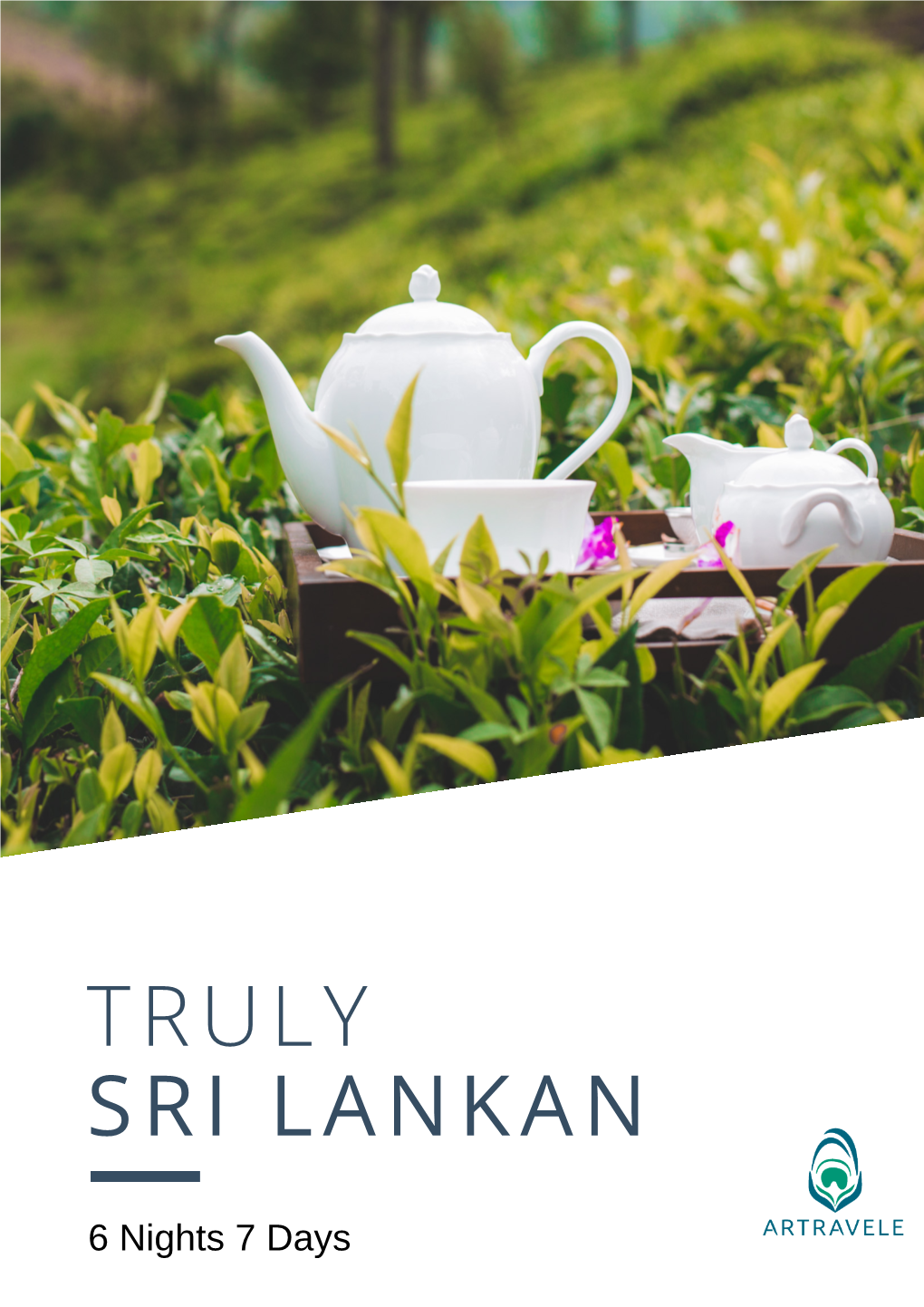 Unique Sri Lanka Drums and Tea | Artravele