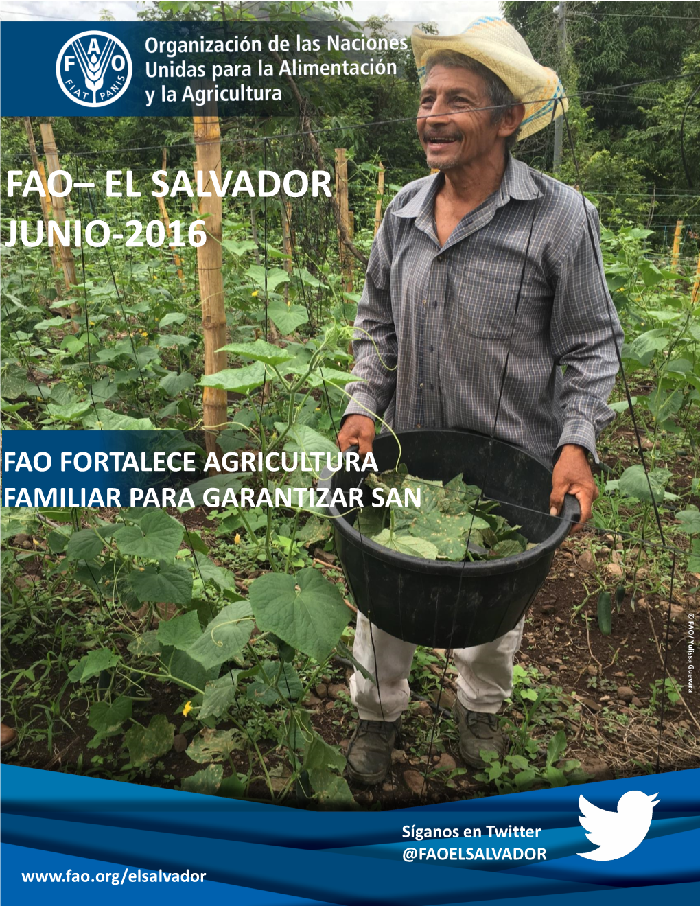 Boletín Informativo FAO EL Salvador, Junio 2016