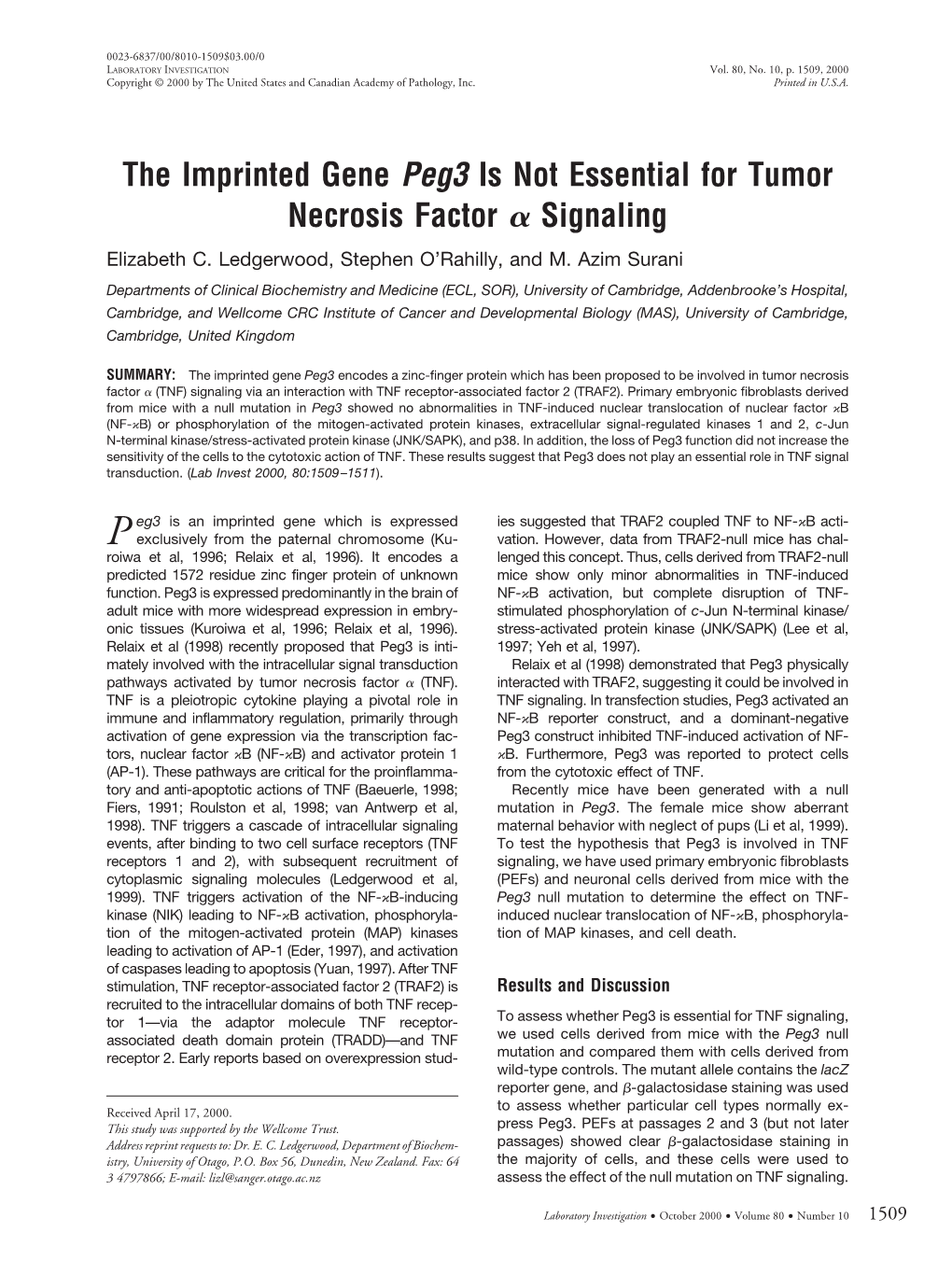 The Imprinted Gene Peg3 Is Not Essential for Tumor Necrosis Factor Signaling