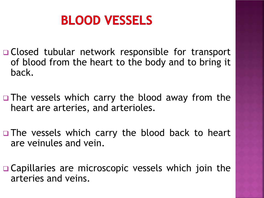 Blood Vessels (Except Capillaries Are Made up of Three Distinct Layers Called Tunics