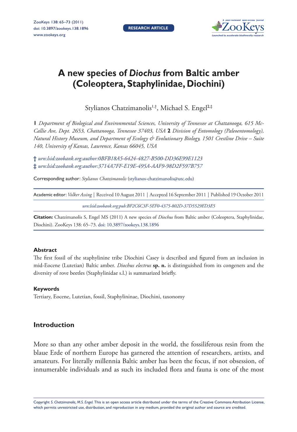 Coleoptera, Staphylinidae, Diochini)