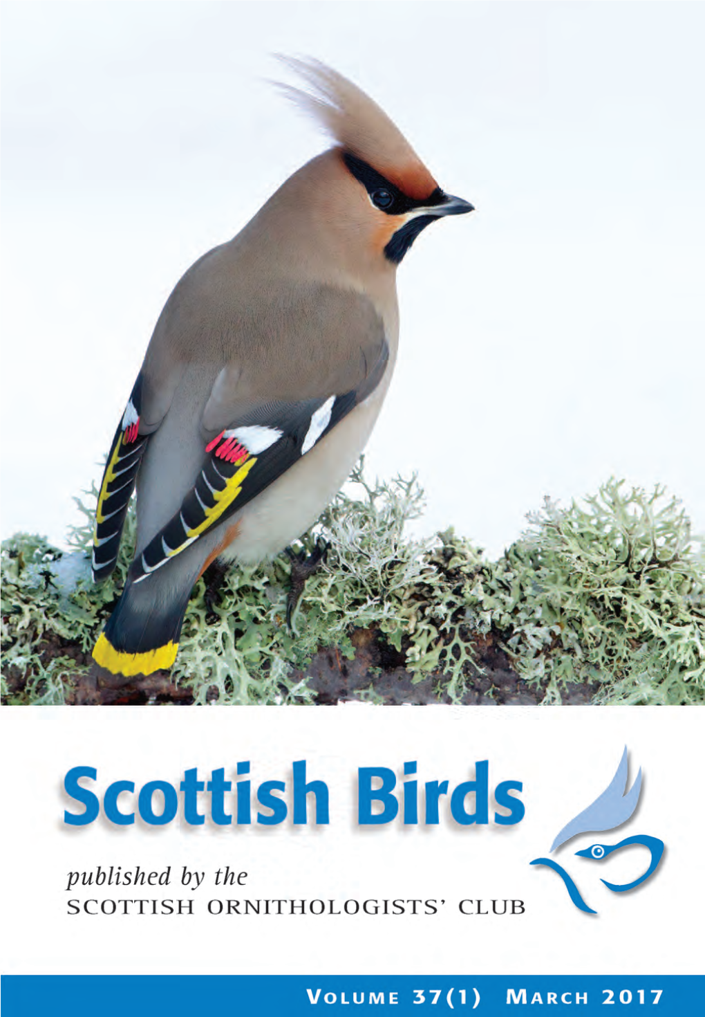 Scottish Birds 37:1 (2017)