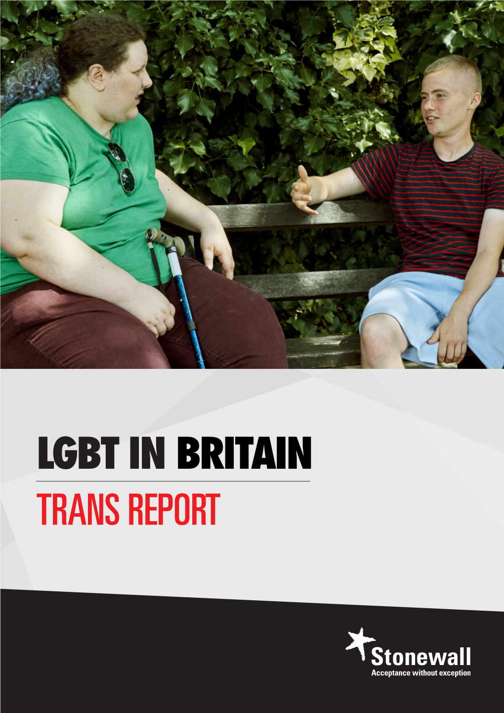 Lgbt in Britain Trans Report Lgbt in Britain Trans Report