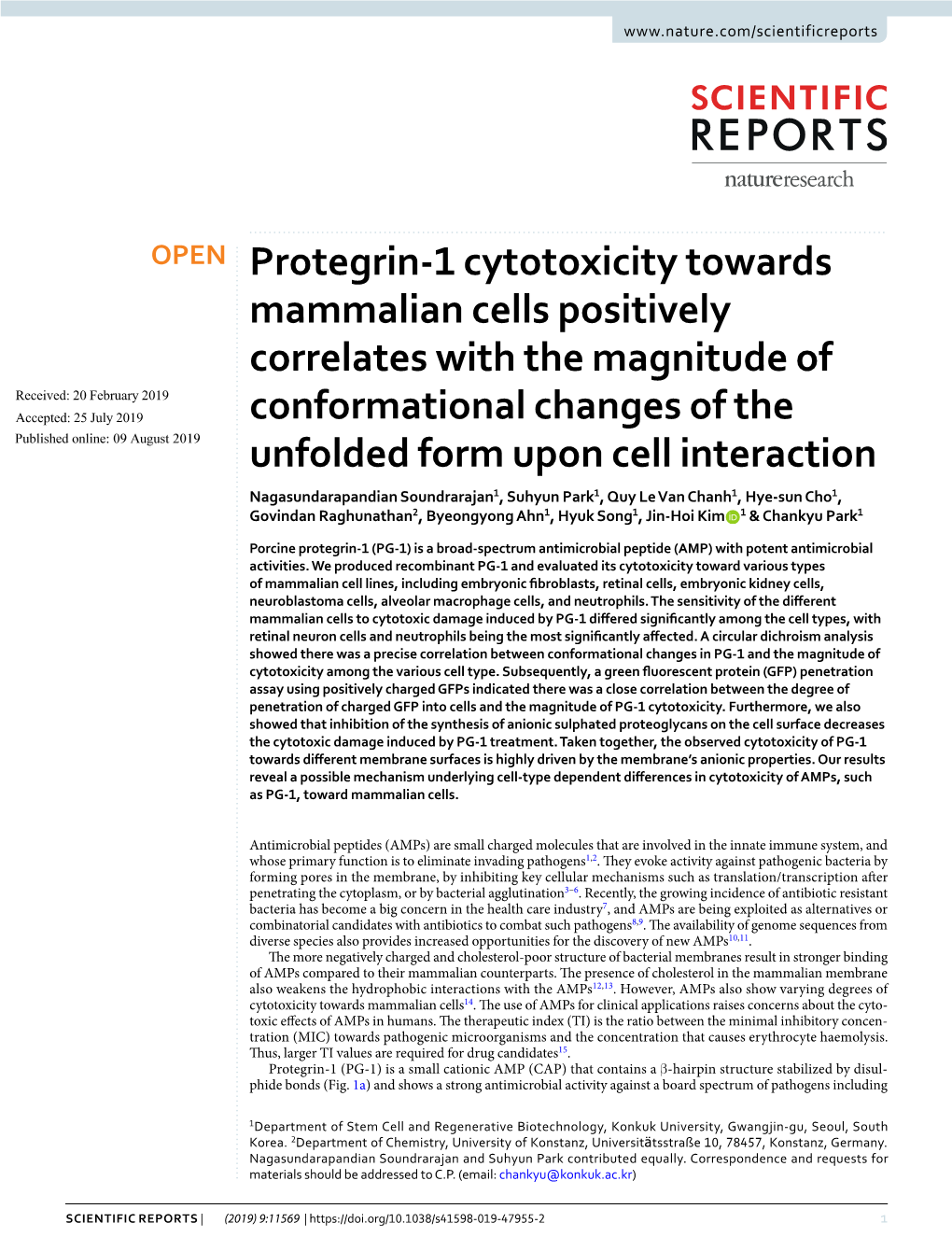 Protegrin-1 Cytotoxicity Towards Mammalian Cells Positively Correlates with the Magnitude of Conformational Changes of the Unfol