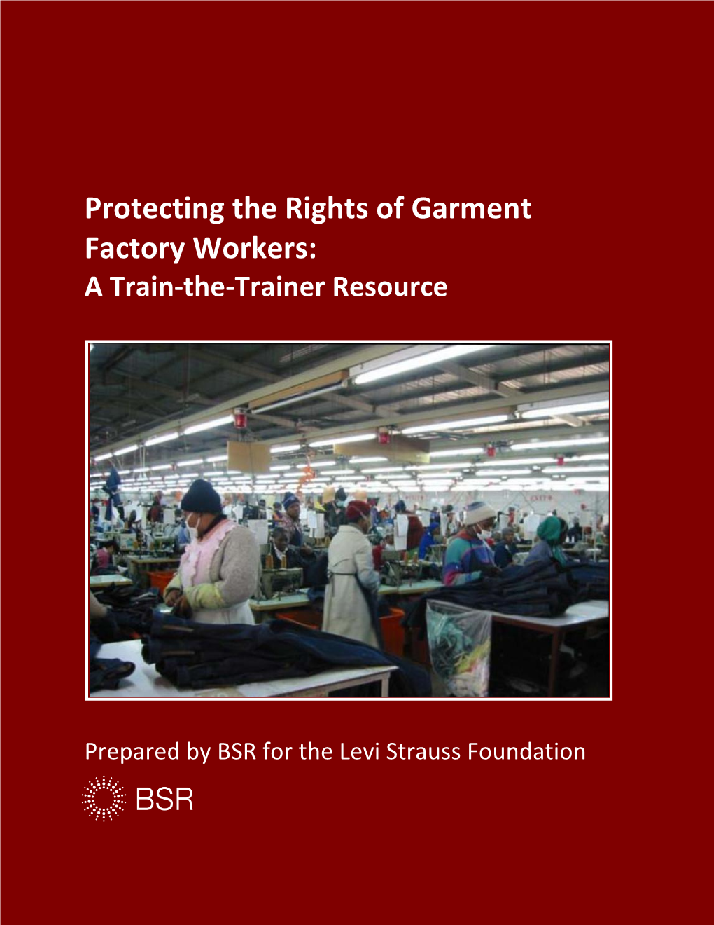 Protecting the Rights of Garment Factory Workers: a Train-The-Trainer Resource