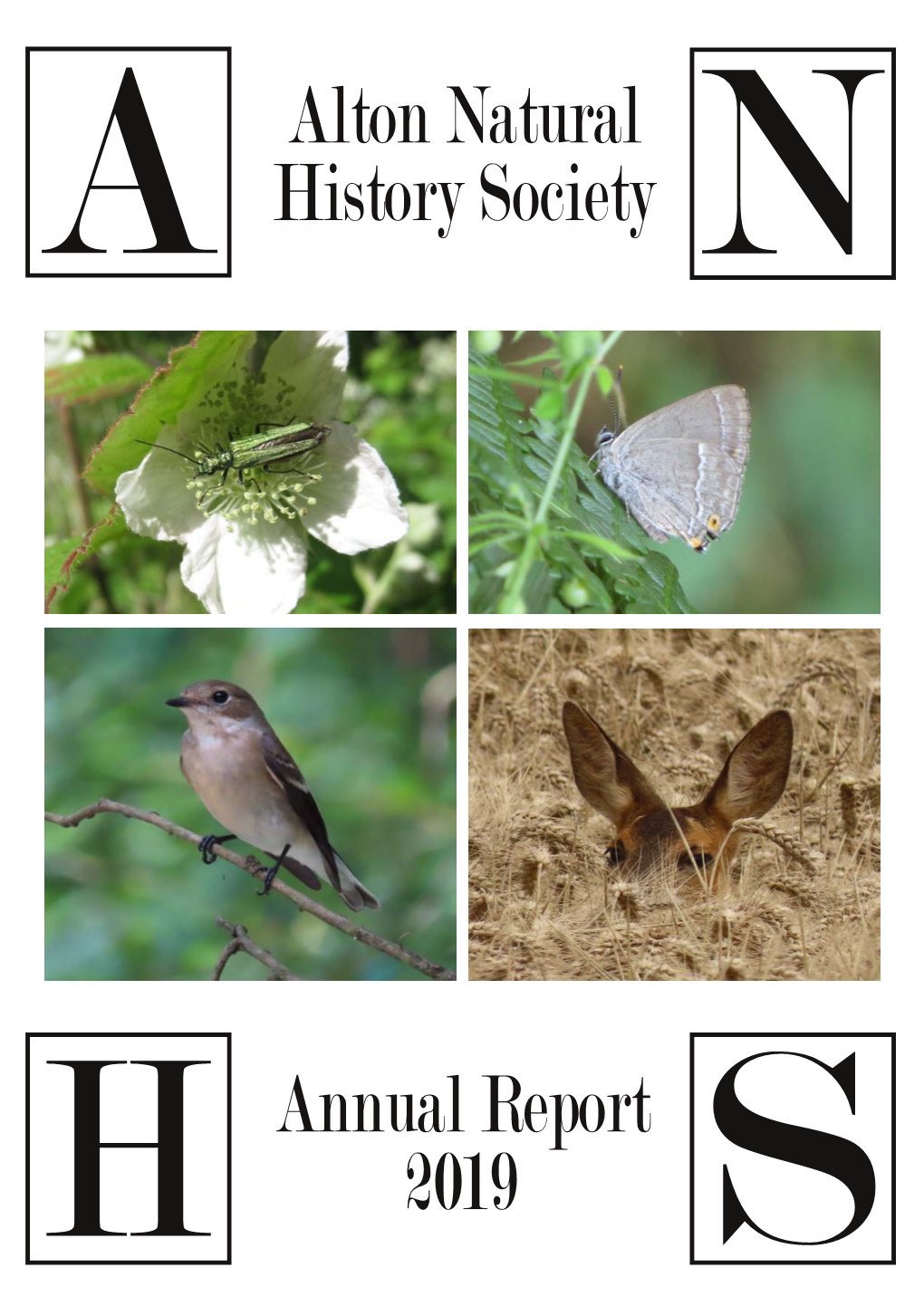 Alton Natural History Society Annual Report 2019