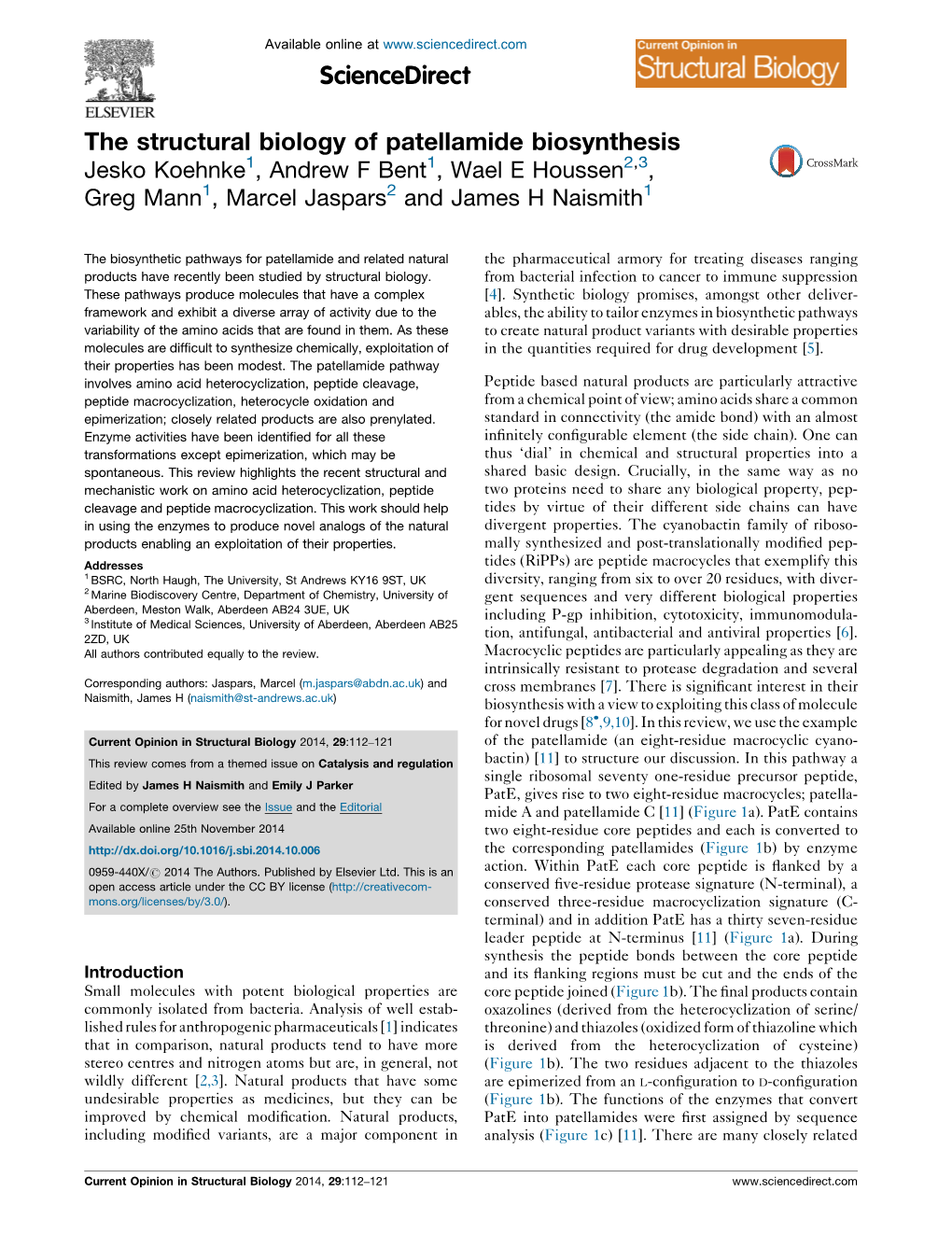 The Structural Biology of Patellamide Biosynthesis